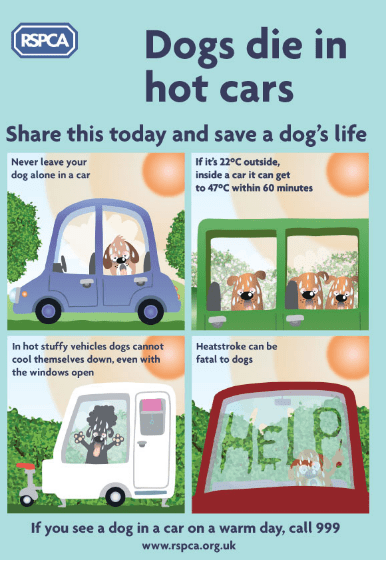 Screenshot 2016-08-17 at 3.17.24 PM