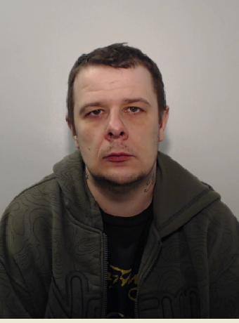 14184424_1253210471397150_153038947936846124_n