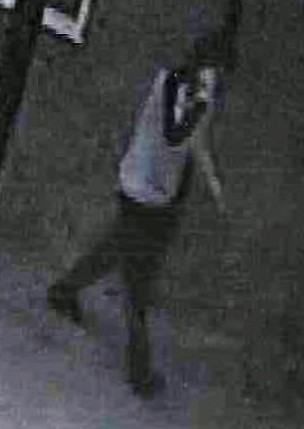 14233094_1254187907966073_2671870432421442527_n