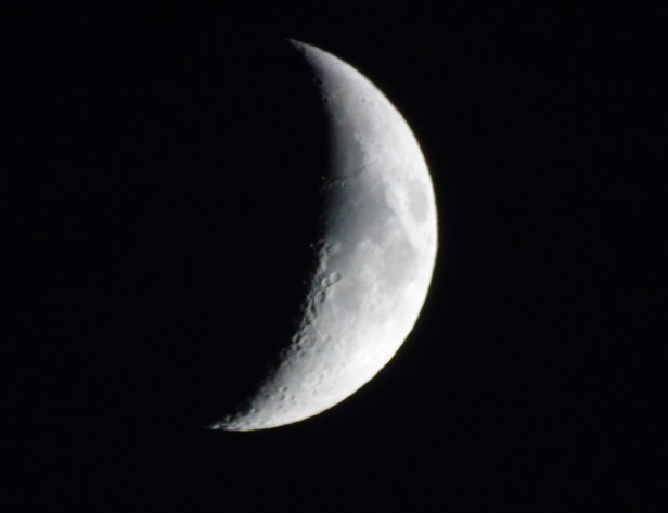 DSC01771.JPG