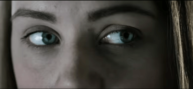 screenshot-2017-01-04-at-11-44-22-pm