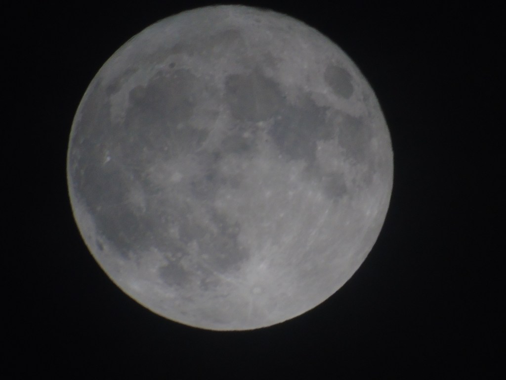 Supermoon brightens up the night&nbsp;sky