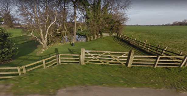 Screenshot 2017-12-24 at 1.08.52 PM