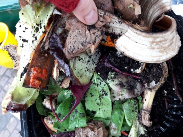 Get Composting in Trafford