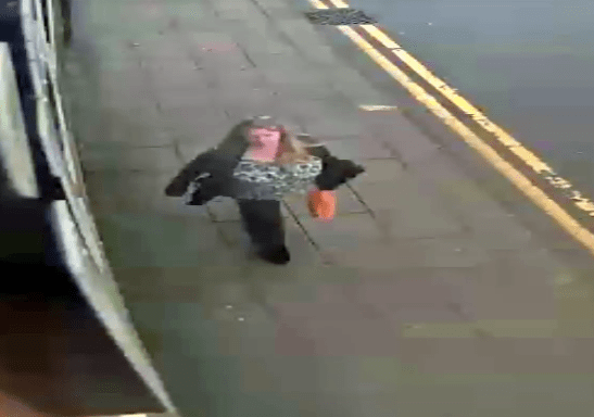 Screenshot 2018-02-20 at 1.31.06 PM