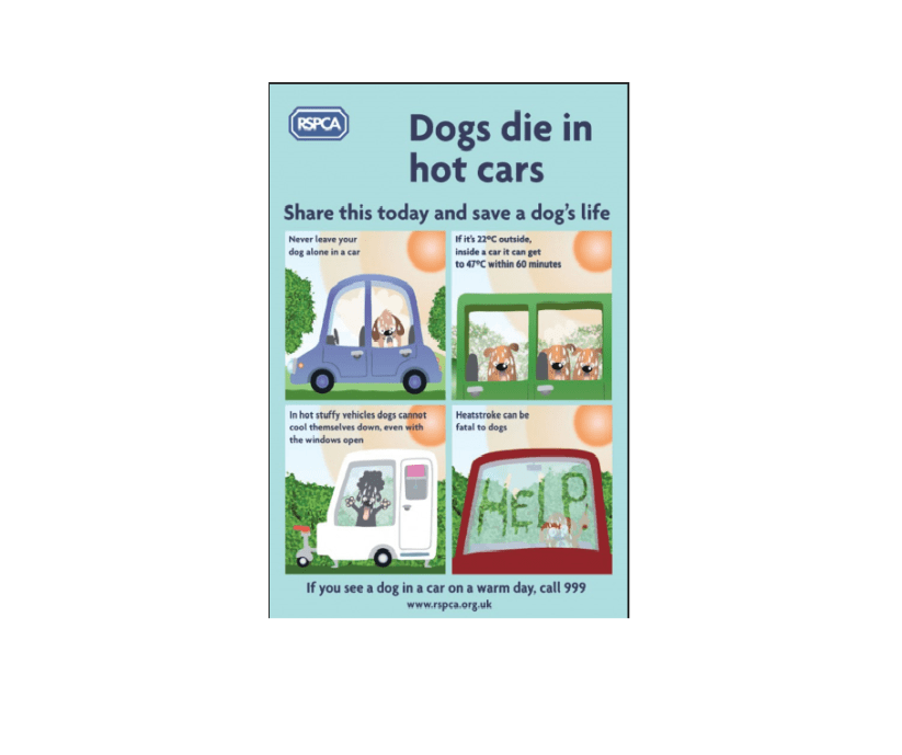 36308899_1945449745506549_1827562589366779904_n