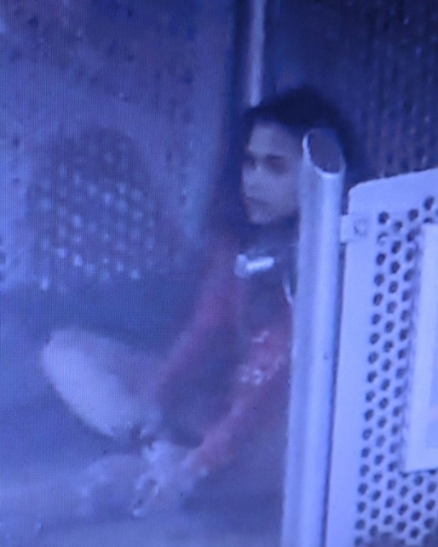 IMG_20180803_092126 (2)