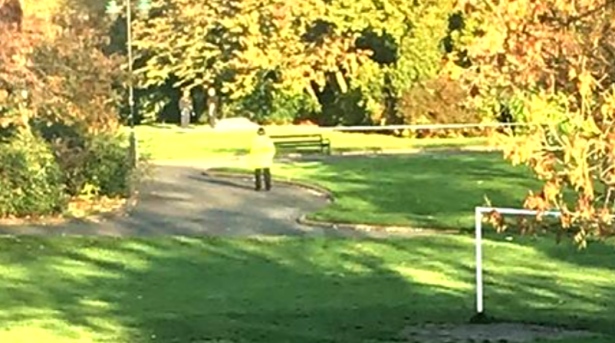 Screenshot 2018-10-31 at 12.07.56 PM