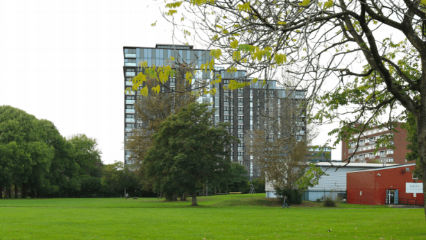 Screenshot 2019-02-14 at 8.43.39 PM