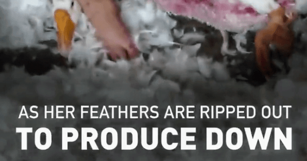 Screenshot_20190210-193432~2