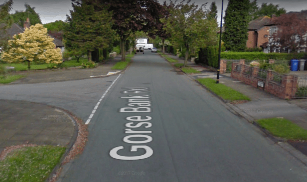 Screenshot 2019-03-02 at 11.12.48 PM