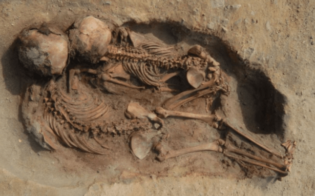 Screenshot 2019-03-07 at 7.36.30 PM