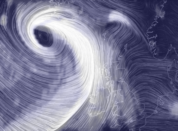 Screenshot 2019-03-11 at 8.08.29 PM