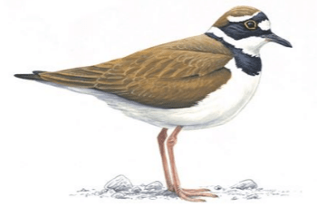 Screenshot 2019-03-15 at 11.43.34 PM