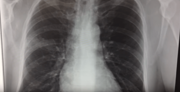 Screenshot 2019-03-19 at 10.53.52 AM