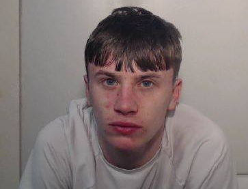 60594067_2415705085147677_5298720742421037056_n