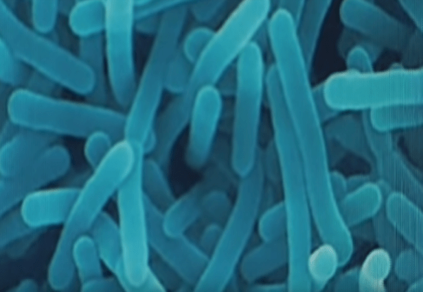 Screenshot 2019-06-07 at 5.40.33 PM