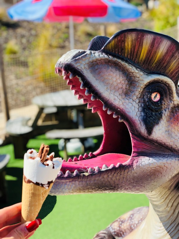 dino falls ice cream