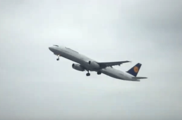 Screenshot 2019-08-03 at 10.47.44 PM