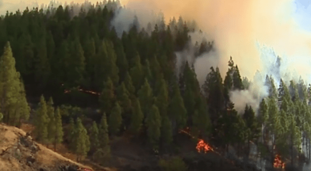 Screenshot 2019-08-11 at 8.57.38 PM