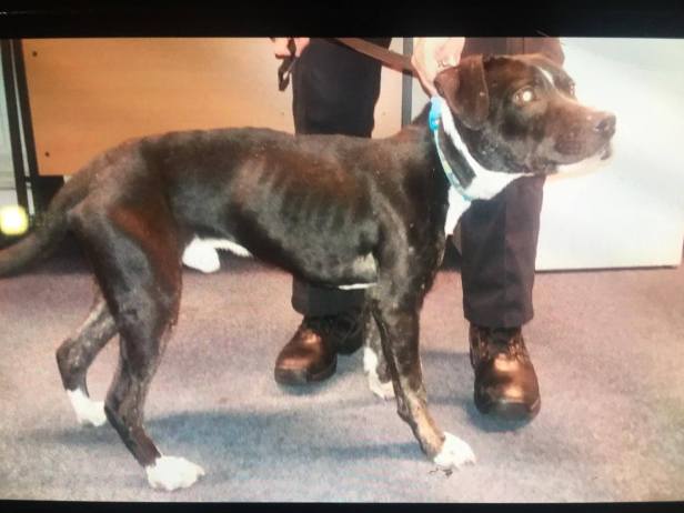 74596915_2796849710366544_2561708861169860608_o