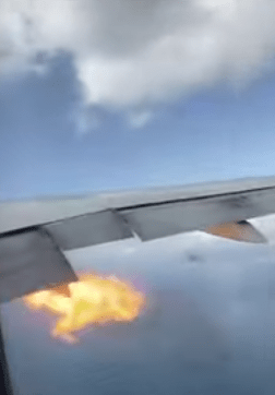 Screenshot 2019-11-24 at 10.44.51 AM