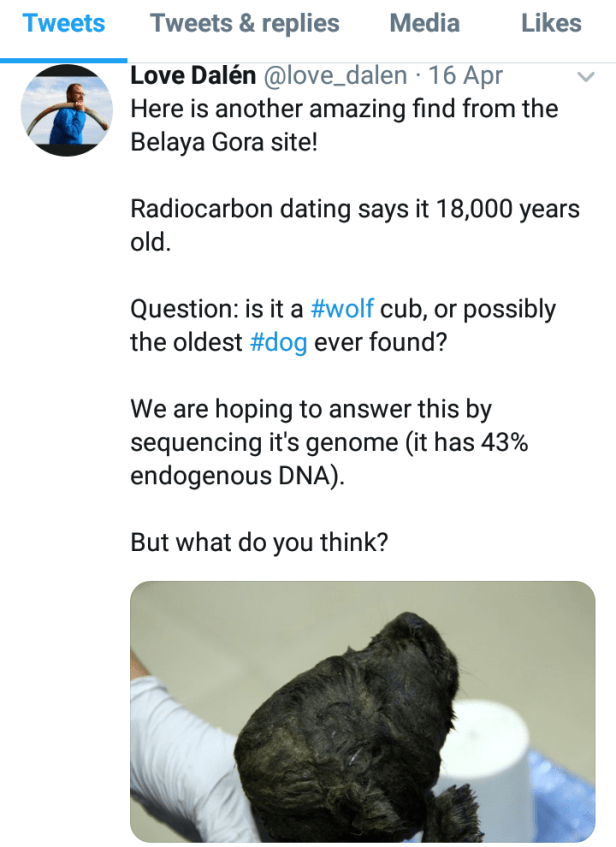 Screenshot_20191128-003359~2