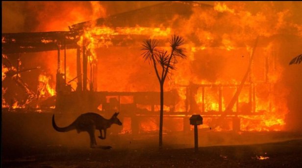 81546769_2931197470225783_6250714730504126464_o