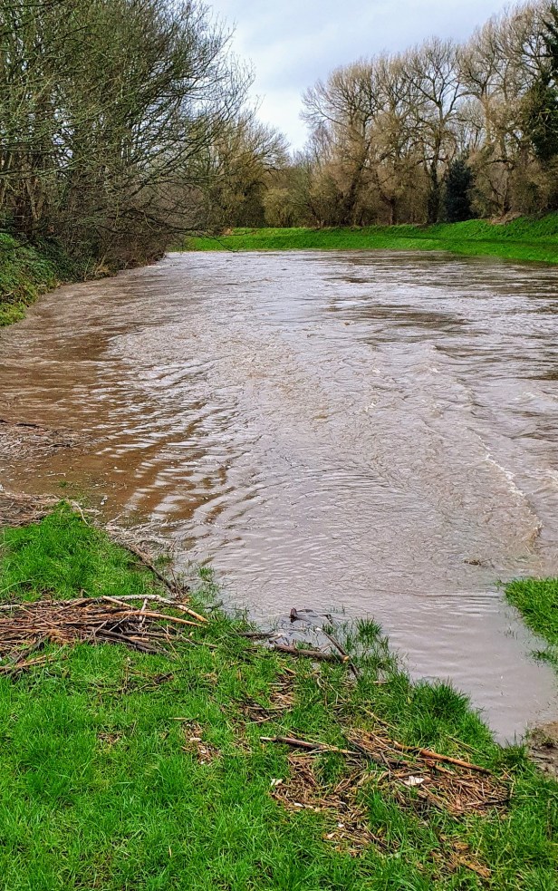 IMG_20200216_213305~2