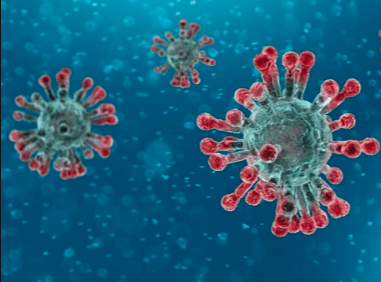 Screenshot 2020-02-25 at 4.04.07 PM - Edited