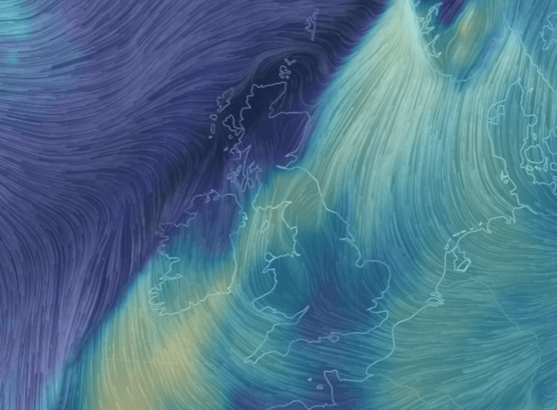 Screenshot 2020-03-25 at 10.27.02 AM - Edited