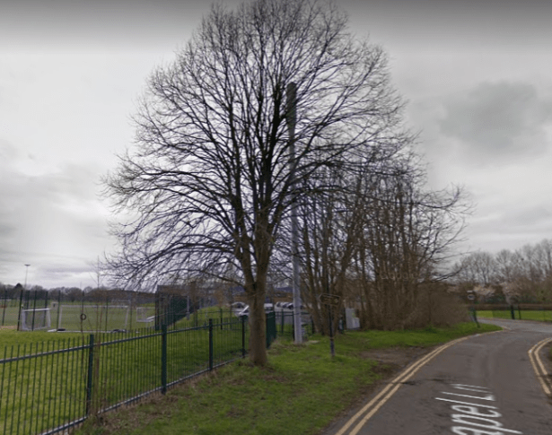 Screenshot 2020-03-31 at 6.56.36 PM - Edited