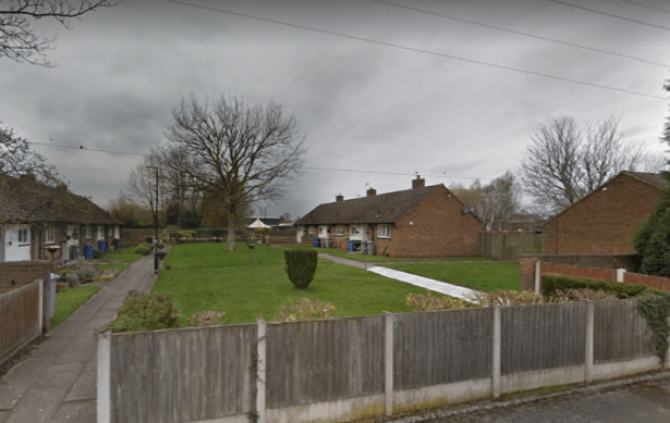 Screenshot 2020-04-28 at 3.51.31 PM - Edited