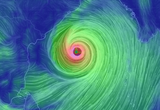 Screenshot 2020-05-18 at 7.41.12 PM - Edited