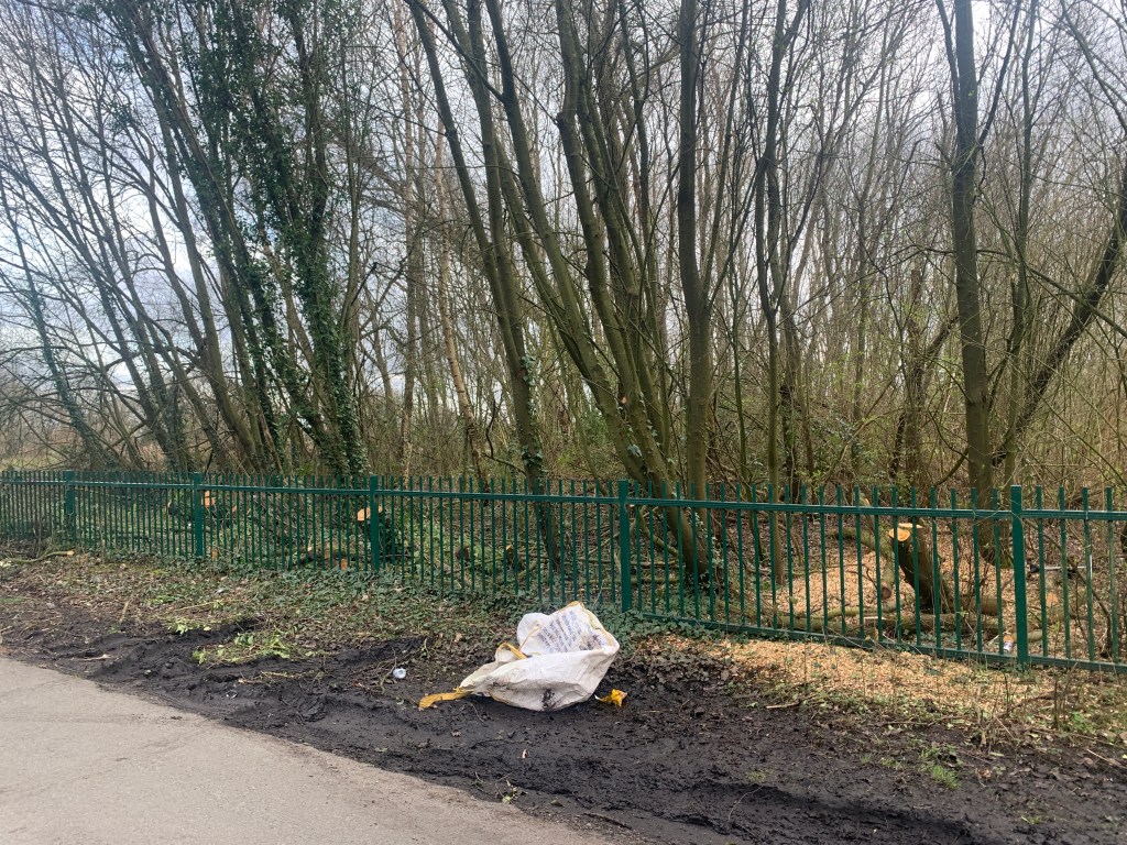 Pic taken on 13/03/22