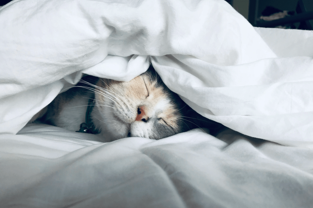 Healthy Heart Tip: The importance of&nbsp;sleep