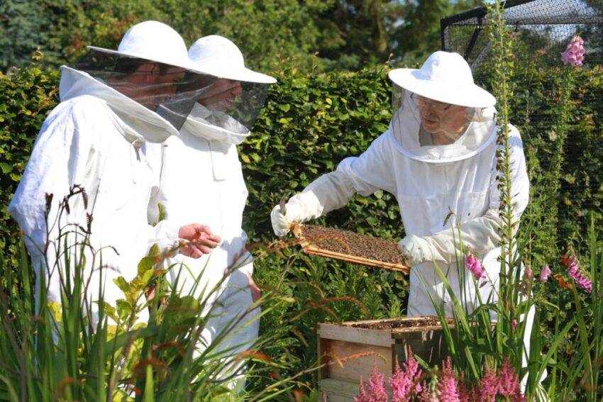 Made Smarter-backed honey maker Just Bee is ‘buzzing’ after automation&nbsp;investment