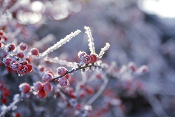 Mental health support in Greater Manchester this&nbsp;winter