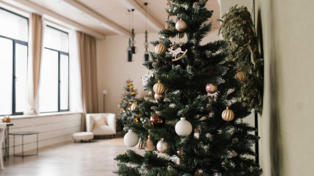 Health and safety: Experts share tips on Christmas tree&nbsp;safety